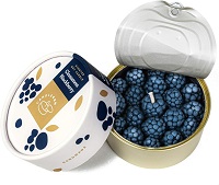 CandleCan cinnamon blackBerry candle